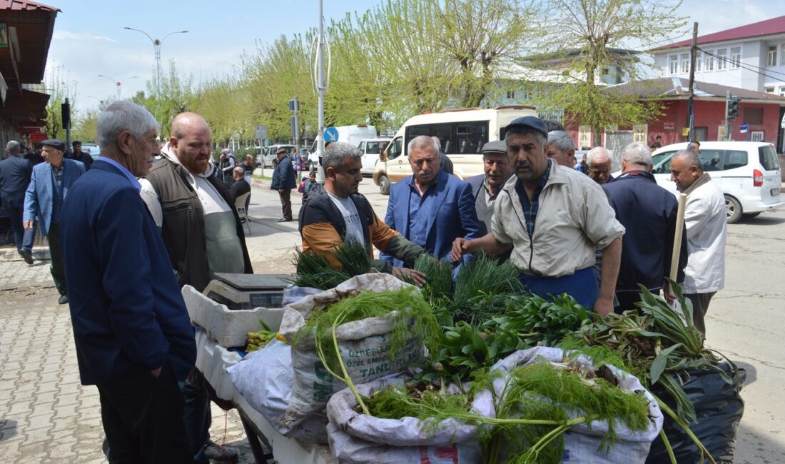 Baharın gelişiyle şifalı bitkiler tezgahlara indi. Vatandaşların yoğun ilgi gösterdiği