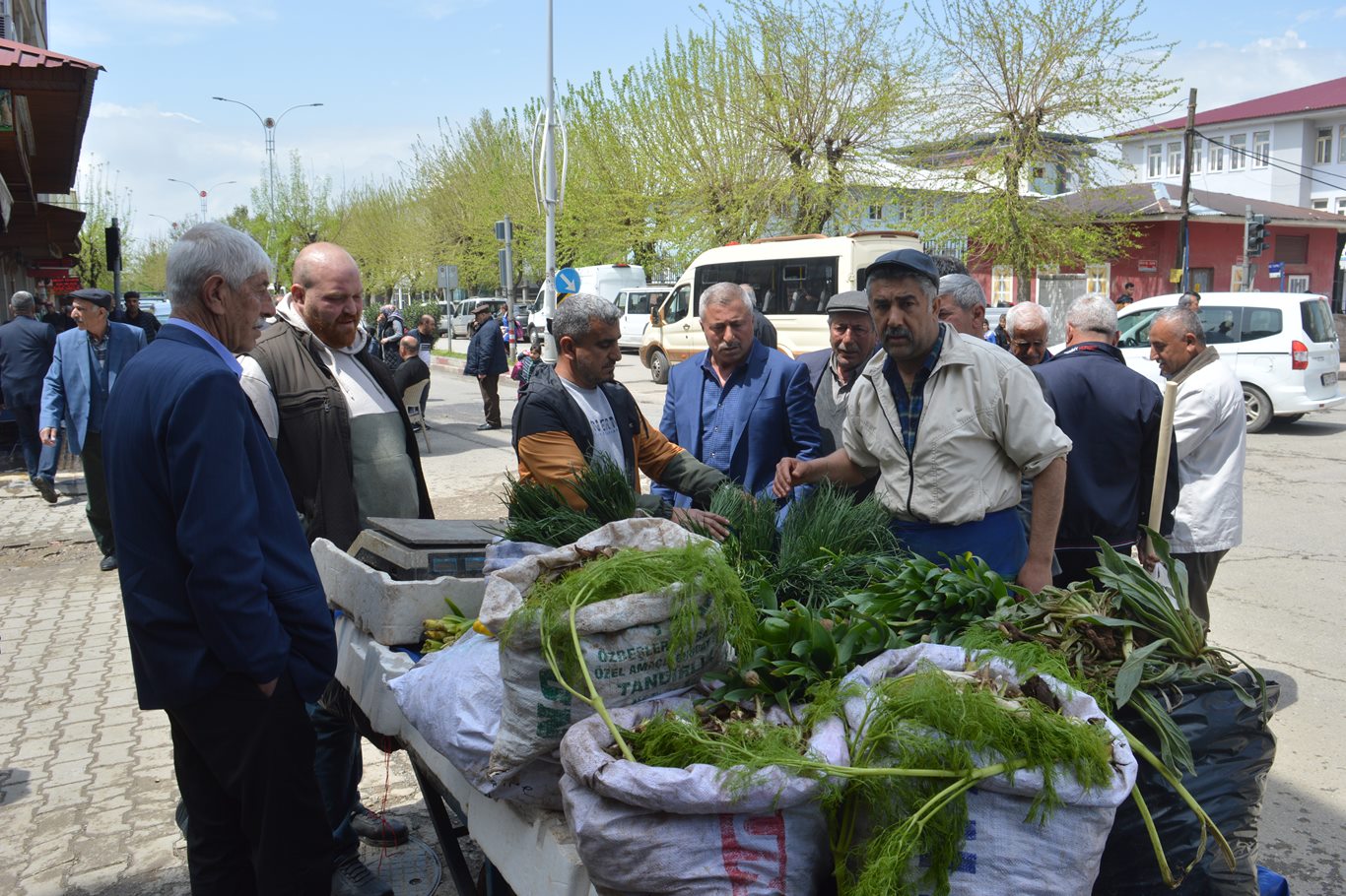 Baharın gelişiyle şifalı bitkiler tezgahlara indi. Vatandaşların yoğun ilgi gösterdiği