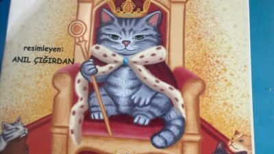 Gazeteci yazar Ayhan Mergen’den yeni bir eser. Daha önce Siirt’i