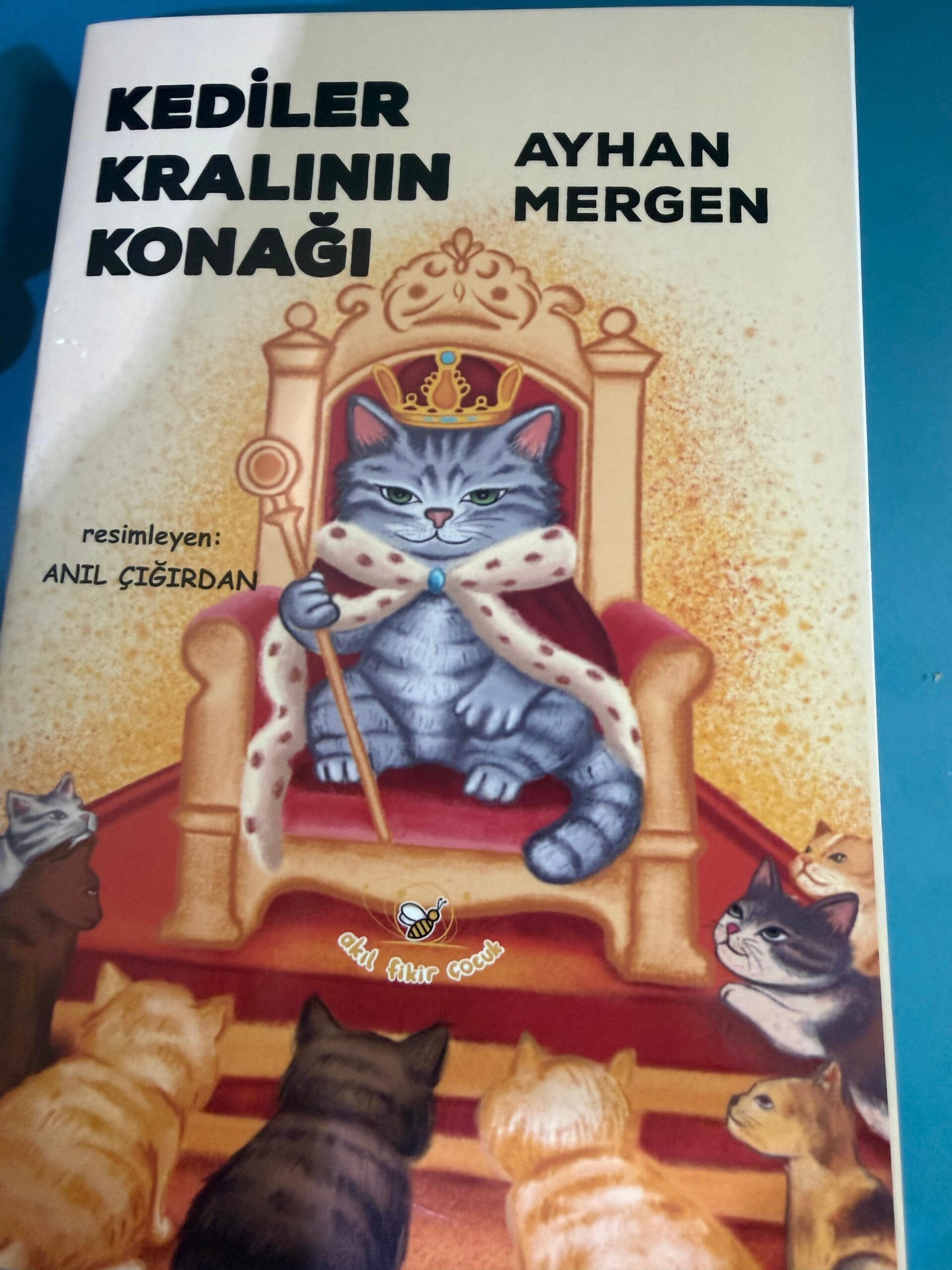 Gazeteci yazar Ayhan Mergen’den yeni bir eser. Daha önce Siirt’i