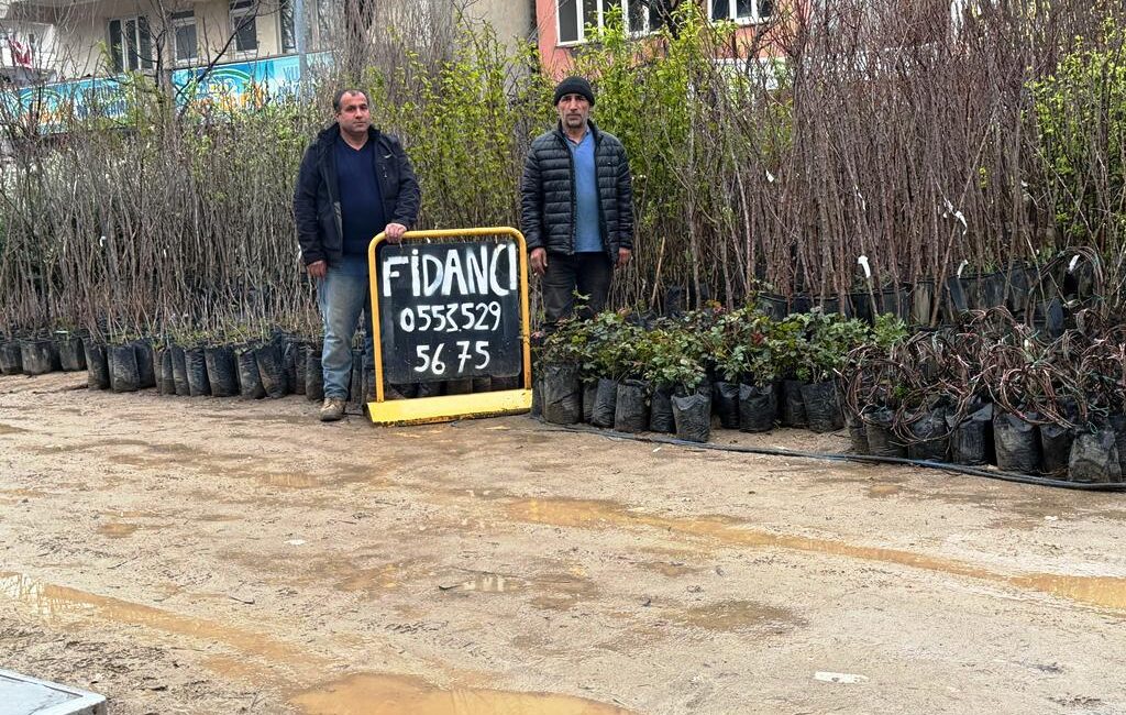 Siirt, son yıllarda geleneksel bitki türlerinin dışında yeni türlerle tanışıyor.