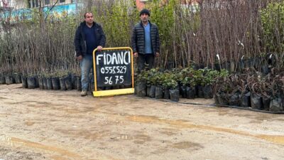 Siirt, son yıllarda geleneksel bitki türlerinin dışında yeni türlerle tanışıyor.