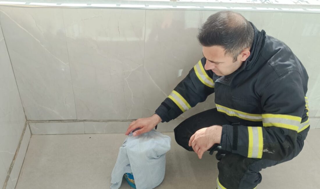 Siirt’in Alan Mahallesi’nde yaşanan olayda, yemek yapıldığı sırada piknik tüpünün