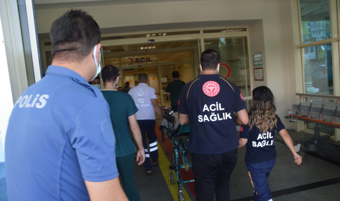 Dut toplarken 6 metreden düştü: Ağır yaralandı Siirt’in Pervari ilçesinde dut toplamak için ağaca çıkan 47 yaşındaki