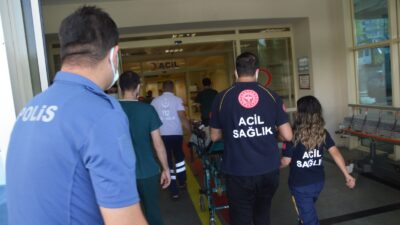 Siirt’in Pervari ilçesinde dut toplamak için ağaca çıkan 47 yaşındaki