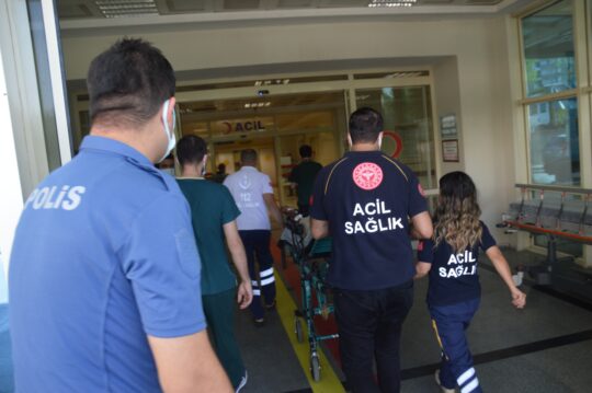 Siirt’in Pervari ilçesinde dut toplamak için ağaca çıkan 47 yaşındaki