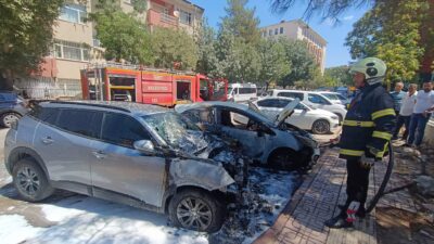 Siirt'te park halindeki bir otomobilde çıkan yangın, kısa sürede yanında
