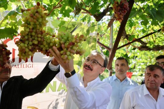 Vali Kızılkaya: Siirt’i Üzüm Üretiminde İlk 5’e Taşıyacağız Siirt’in Şirvan ilçesine bağlı Pirinçli köyünde yetiştirilen Tayfi üzümünün hasadı,