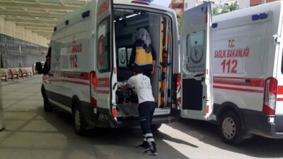 Siirt'in merkez Ulus Mahallesi'nde ahırda bulunan 50 yaşındaki kadın, akrep