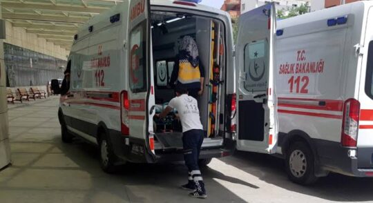 Siirt’te Akrep Sokması! 50 Yaşındaki Kadın Tedavi Altına Alındı Siirt'in merkez Ulus Mahallesi'nde ahırda bulunan 50 yaşındaki kadın, akrep