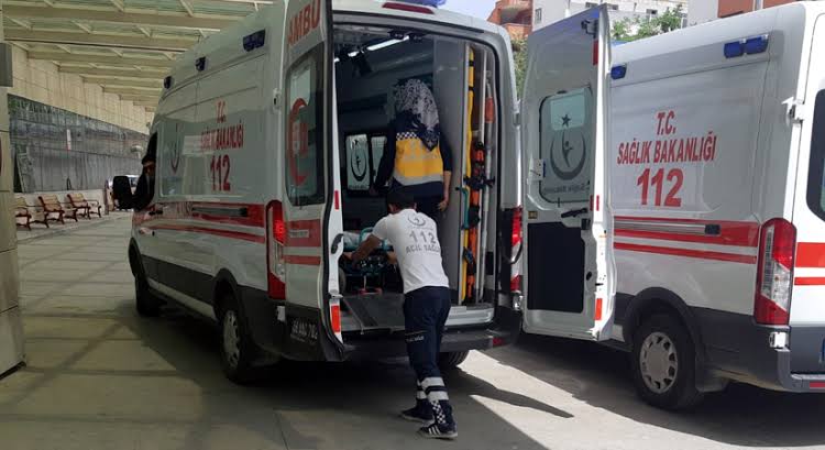Siirt'in merkez Ulus Mahallesi'nde ahırda bulunan 50 yaşındaki kadın, akrep
