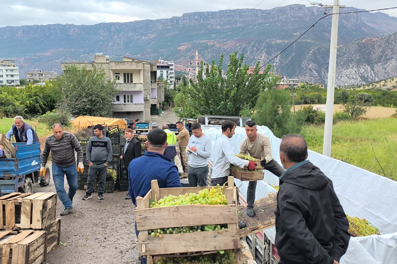 Siirt’in Şirvan ilçesine bağlı Pirinçli köyünde bu yıl yüksek verim